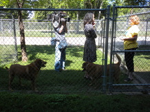  Mia Gradney with KHOU - Channel 11 interviews a Forgotten Pet Advocate Volunteer May 14, 2013