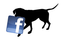  Follow ″The Forgotten Pet Advocates″ on Facebook !